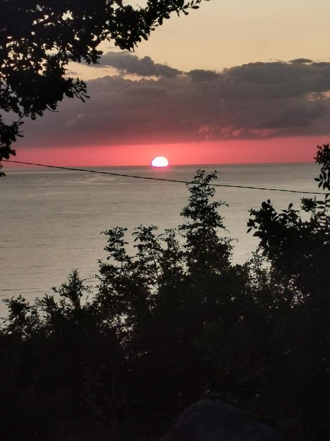 Ana Apartmani Sveti Stefan Bagian luar foto